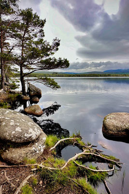 Wanderung von Loch Garten zu Loch Mallachie