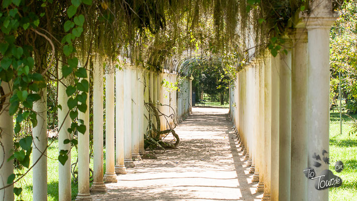 Botanischer Garten