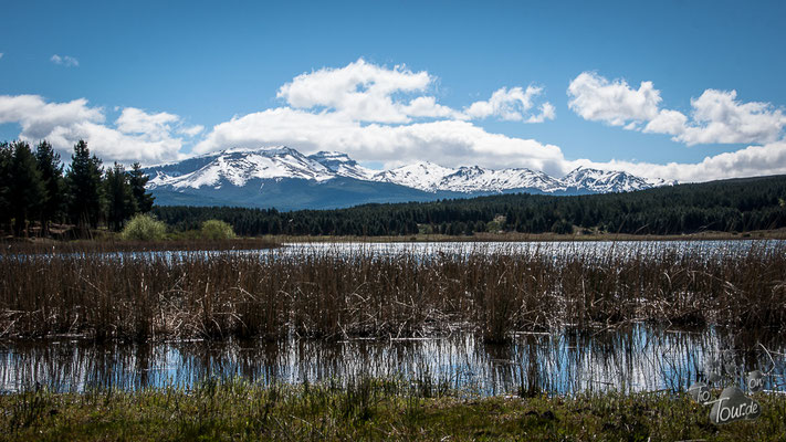 Laguna La Zeta