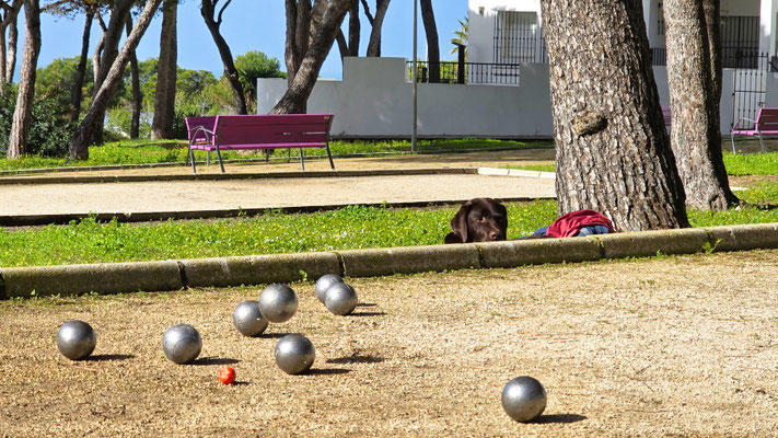 Conil de la Frontera - Boule im Atalayapark