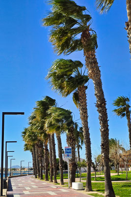 Los Alcázares