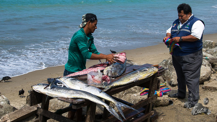El Matal - hier wird der frisch gefangene Fisch direkt filetiert