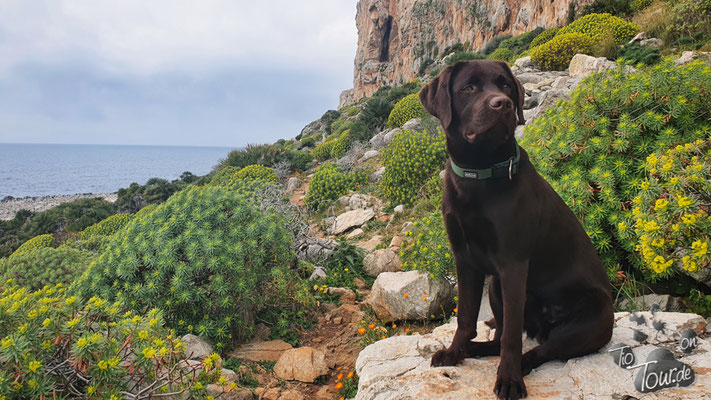 Sizilien - San Vito lo Capo