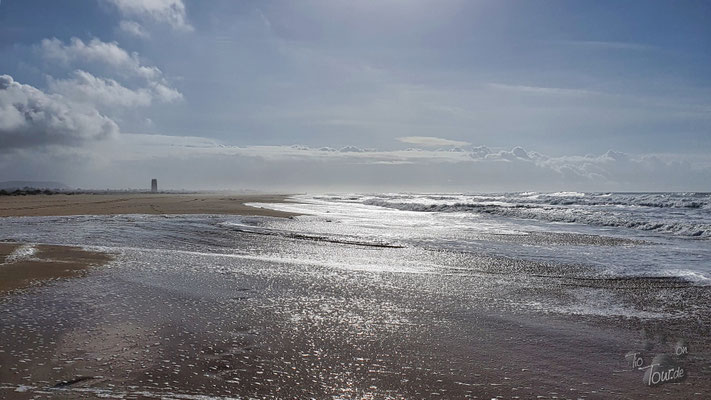 Zwischen Conil und El Palmar