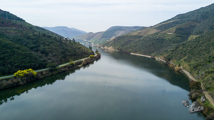 Douro-Tal