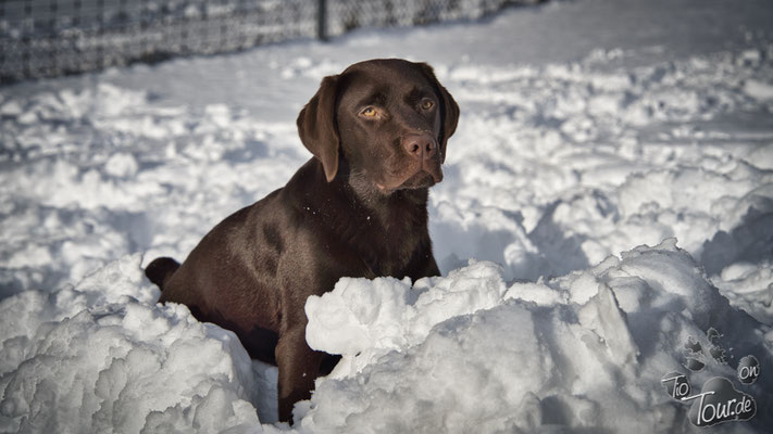 Spaß im Schnee