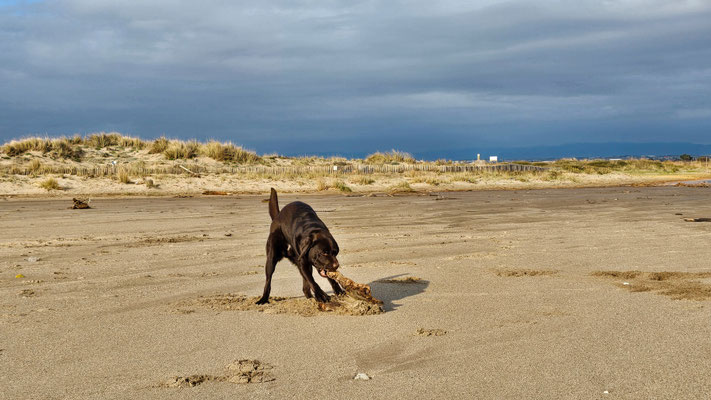 Portiragnes Plage