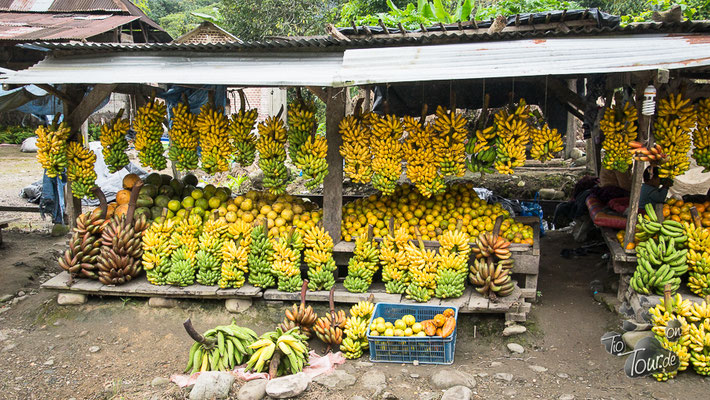 Auf dem Weg nach Cochabamba