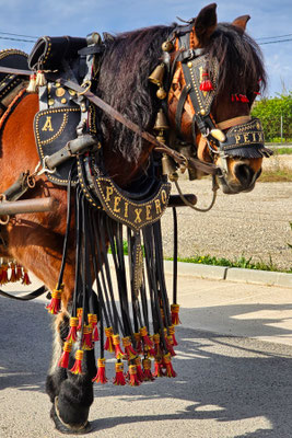 Deltebre