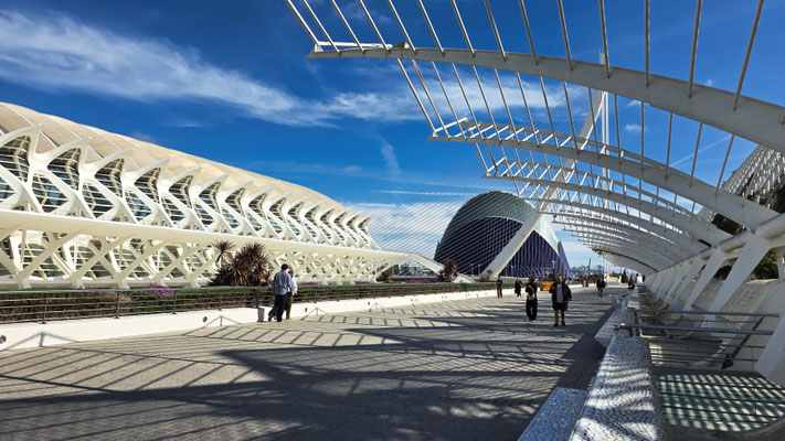 Ciudad de las Artes y de las Ciencias