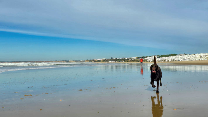 Conil de la Frontera - Traumstrand