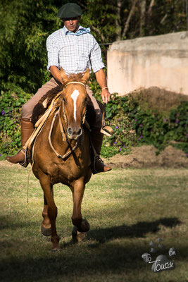 ...man kann auch "schön" reiten ;-)