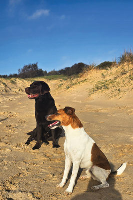Beste Freunde ;-)