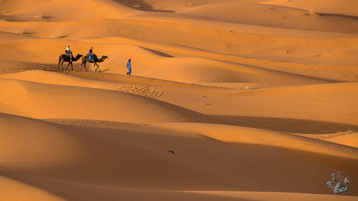 Sundown in der Wüste