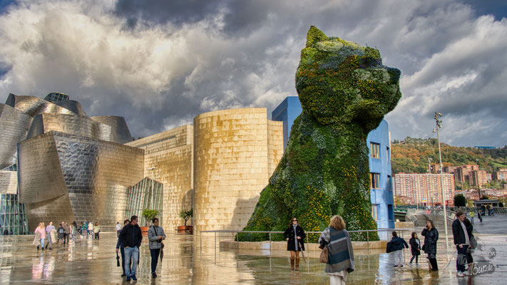 Bilbao - Blumenhund Puppy