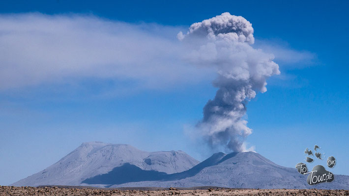 Blick auf den Vulkan Sabancaya
