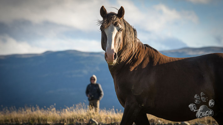 Estancia Harberton