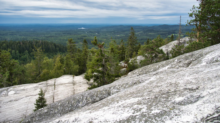 Blick vom Koli auf den Pielinen-See