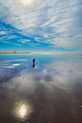 Conil de la Frontera - Traumstrand