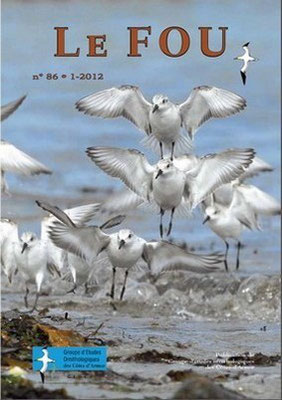 Fou 86, 2012