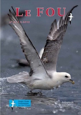 Fou 82, 2010