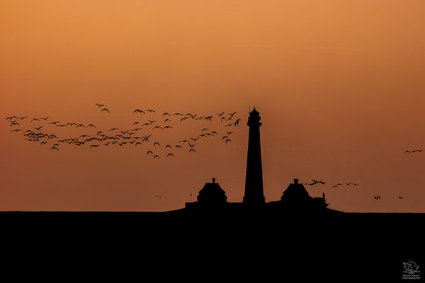 Westerhever Leuchtturm