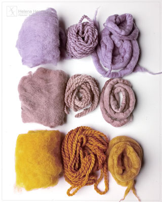 Beispiele für naturgefärbte Filz- und Strickwolle beim Pilzfärben mit Zimtbraunem Weichporling, Schmutzbecherling und Nadelholz-Braunporling