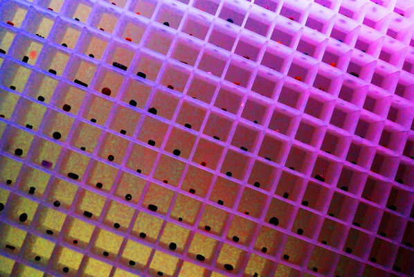 Gitter.