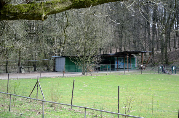 Parkplätze, Räume und Trainingswiese der Hundeschule