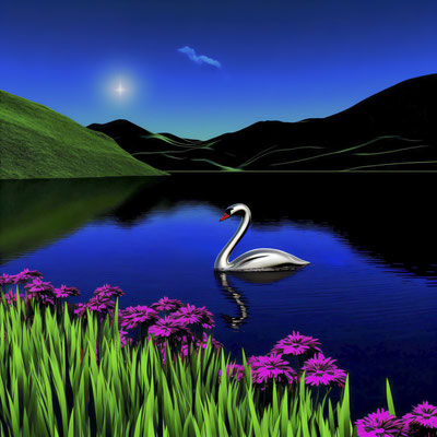 Swan at Night |