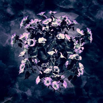 Magic Flowers 9 | 1:1
