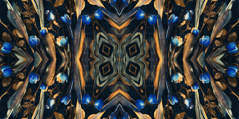 Kaleidoscope 11 | 2:1