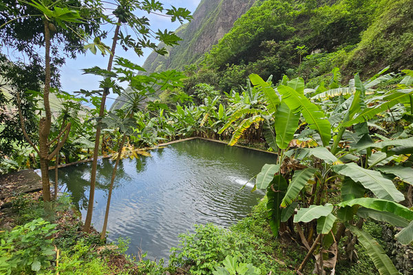Wandern zum Wasserfall Spanader d'Neve, Santo Antao