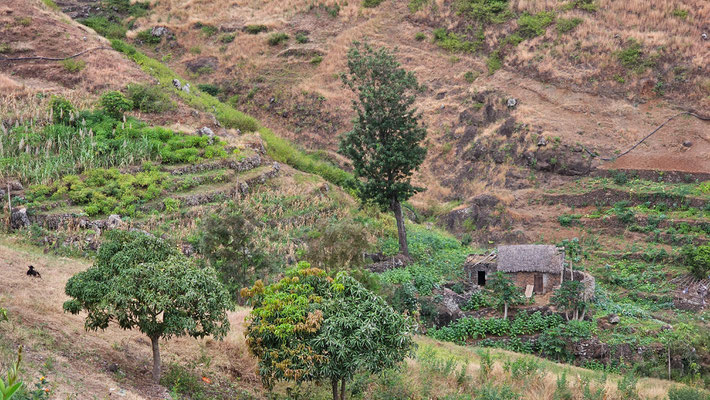 Wandern von Pico da Cruz nach Bairro Alto, Santo Antao