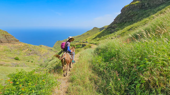 Wandern von Cha d`Ingreja über Figueiras nach Ribeira da Cruz, Santo Antao