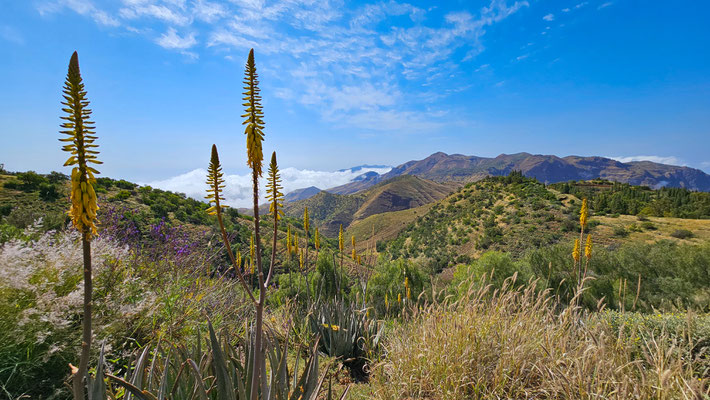 Wandern von Manta Velha nach Espongeiro, Santo Antao