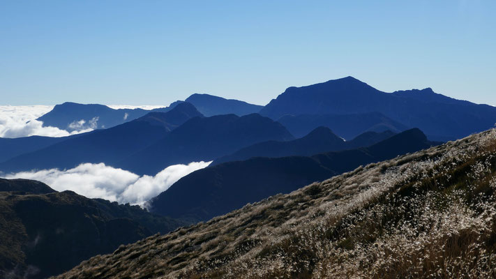 Te Araroa Richmond Range