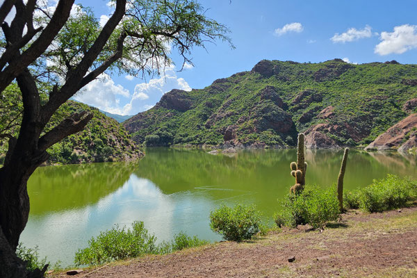 die Laguna Brealito hat ein intensives Grün