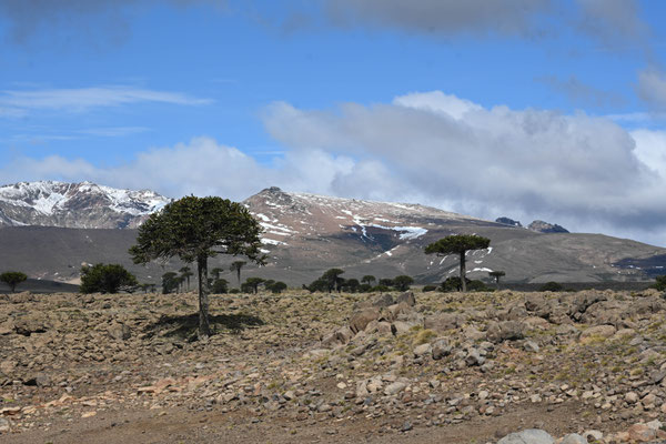 es wird kälter hier an der Grenze zu Patagonien