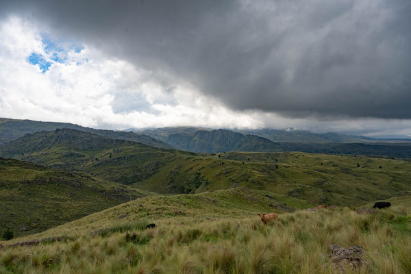 Regenwolken