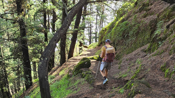 Wandern von Pico da Cruz nach Bairro Alto, Santo Antao