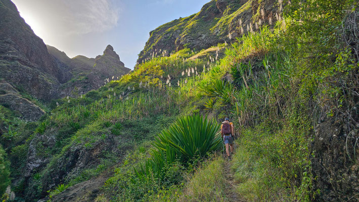 Wandern von Manta Velha nach Espongeiro, Santo Antao