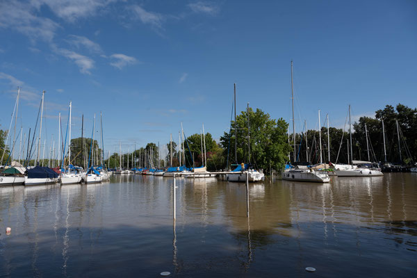 Der Club von Barlovento