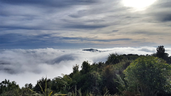 Perongia Forest Park