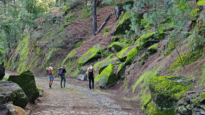 Wandern von Pico da Cruz nach Bairro Alto, Santo Antao