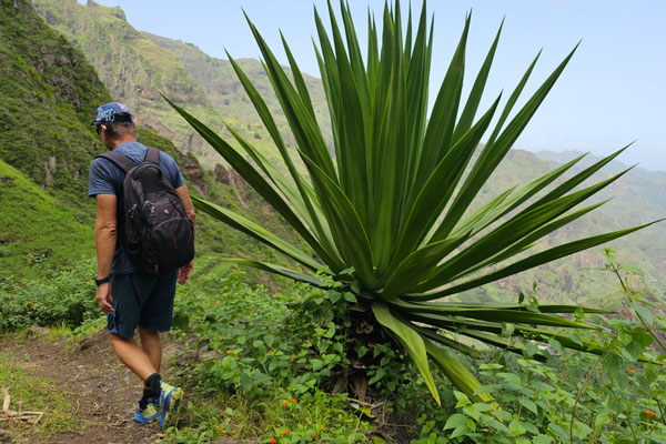 Wandern im Xoxo Tal, Santo Antao