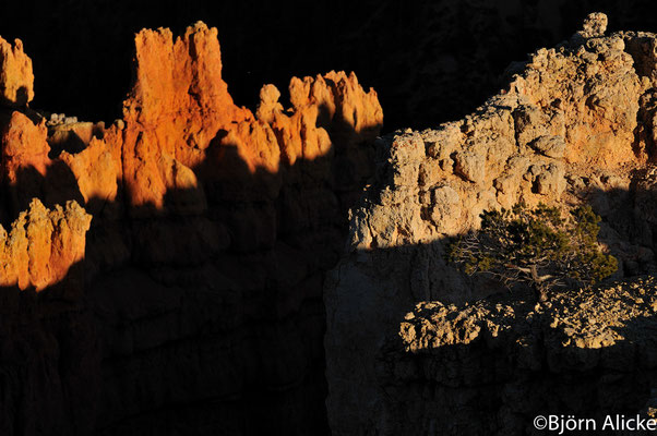 Sonnenuntergang, Bryce Canyon, USA