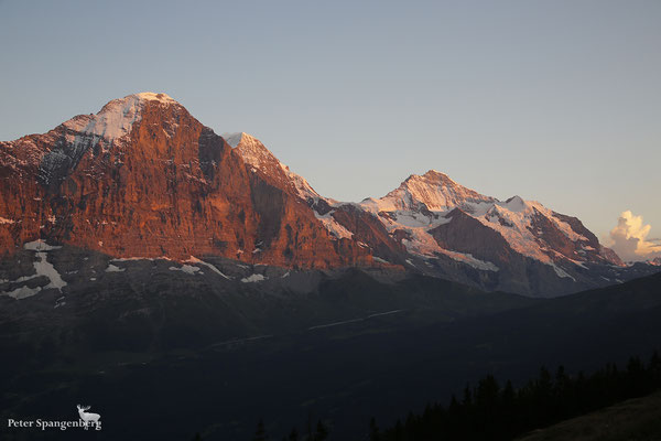 Eiger, Mönch, Jungfrau, Silberhorn