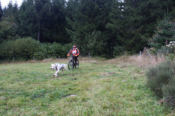 Corinne en bike-joring