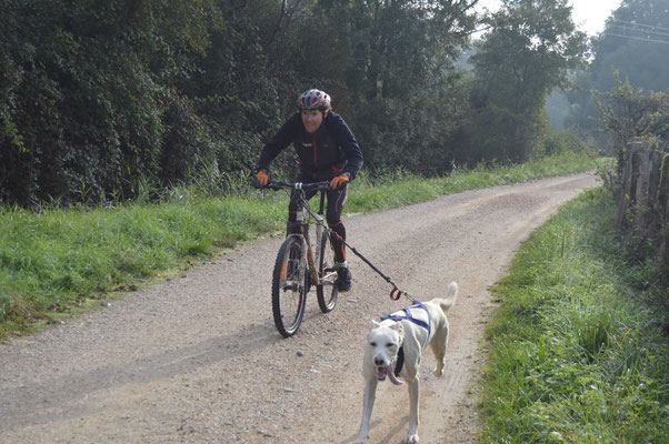 On entraine aussi en VTT